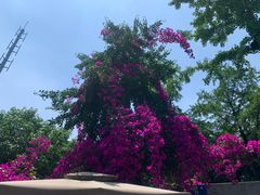 -大妙火锅·非物质文化遗产(东湖公园店)