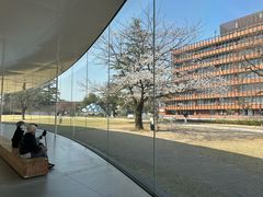 -金泽21世纪美术馆