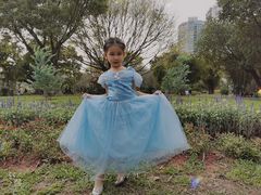 -晓港公园