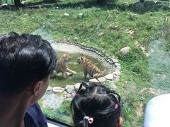 -西安秦岭野生动物园