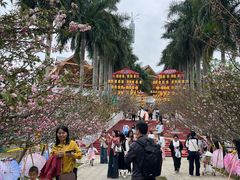 -光明农场大观园