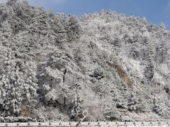-四明山国家森林公园