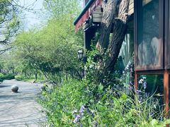 -阳光家常菜游客餐厅(千佛山店)