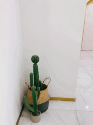-OAE日式皮肤管理お肌の