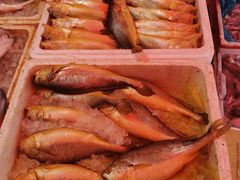 -芦潮港集贸市场