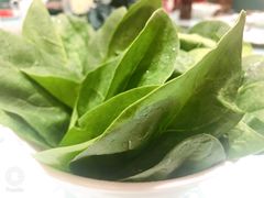 -龙福成肥牛火锅(文昌店)