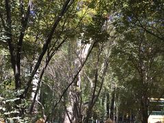 -艾提尕尔清真寺