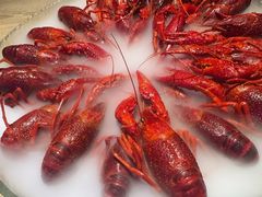 -红盔甲·小龙虾(定西路店)