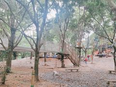 -东莞市大岭山森林公园