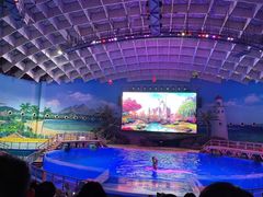 -海合安武汉极地海洋公园