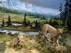 -陕西自然博物馆