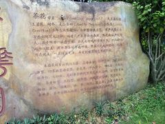 -广州市帽峰山景区