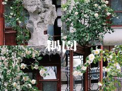 -耦园