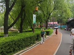 -长春市南湖公园