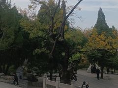 -千佛山风景名胜区