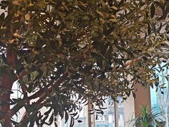 -Wagas沃歌斯(环贸店)