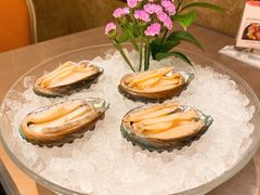 -協成海鮮火鍋(老店)