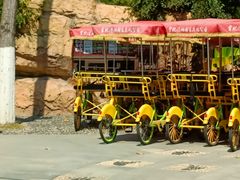 -合肥滨湖国家森林公园