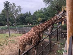 -石家庄市动物园