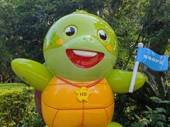 -广东惠东海龟国家级自然保护区