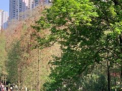 -重庆彩云湖湿地公园