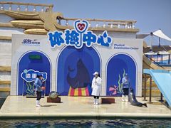 -秦皇岛乐岛海洋王国