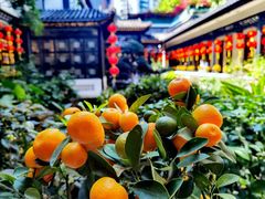 酒家庭院-北园酒家(小北路店)