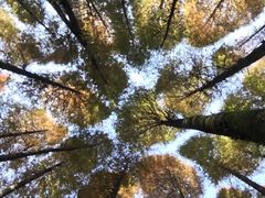 -山王坪喀斯特国家生态公园