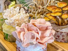 -烹然四季椰子鸡火锅(团结湖总店)