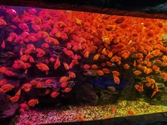 -多彩贵州城极地海洋世界