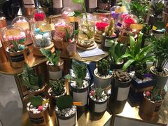 -blt精品超市(杭州城西银泰店)