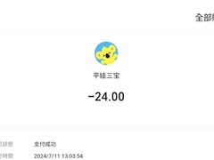 -平娃三宝烧烤·面食(富丰桥店)