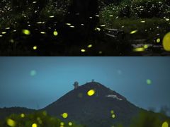 -西涌国际滨海旅游区