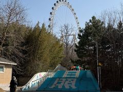 -日照海滨国家森林公园