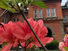 -北海道厅旧本厅舍(旧本庁舎)