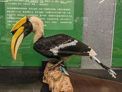 -昆明动物博物馆