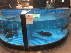 水产区-梁家大院•农家菜(昆山会展中心店)