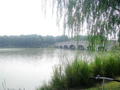 -昆山城市生态森林公园