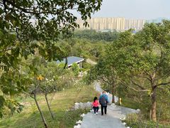 -聚龙山公园