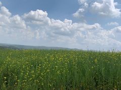 -包子大王(新泽巷店)