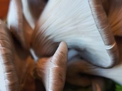 -老员外骨汤火锅(海州古城店)