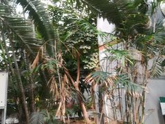-龙达温泉生态城