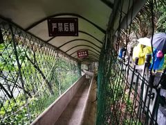 -洛阳白云山景区