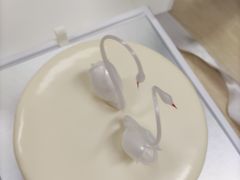 -BLACKSWAN黑天鹅(环球店)