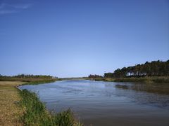 -春花秋色城市公园