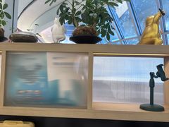 -长风拨筋养身(金虹桥店)