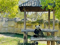 -上海野生动物园