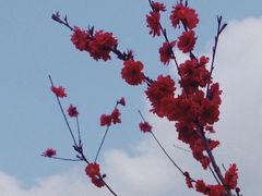 -蓝天路(地铁站)