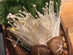 -同仁四季椰子鸡(宝安壹方城店)