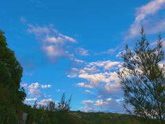 -广东惠东海龟国家级自然保护区